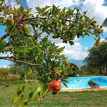 בית כפרי Casa Pratolungo