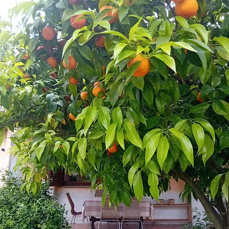 בית כפרי Casa Pratolungo *